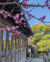 梅花