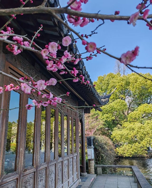 梅花