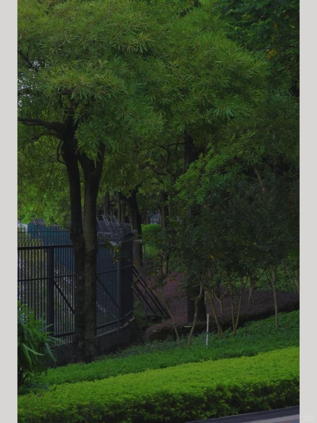 廈門寶藏公園竟然還有人不知道！