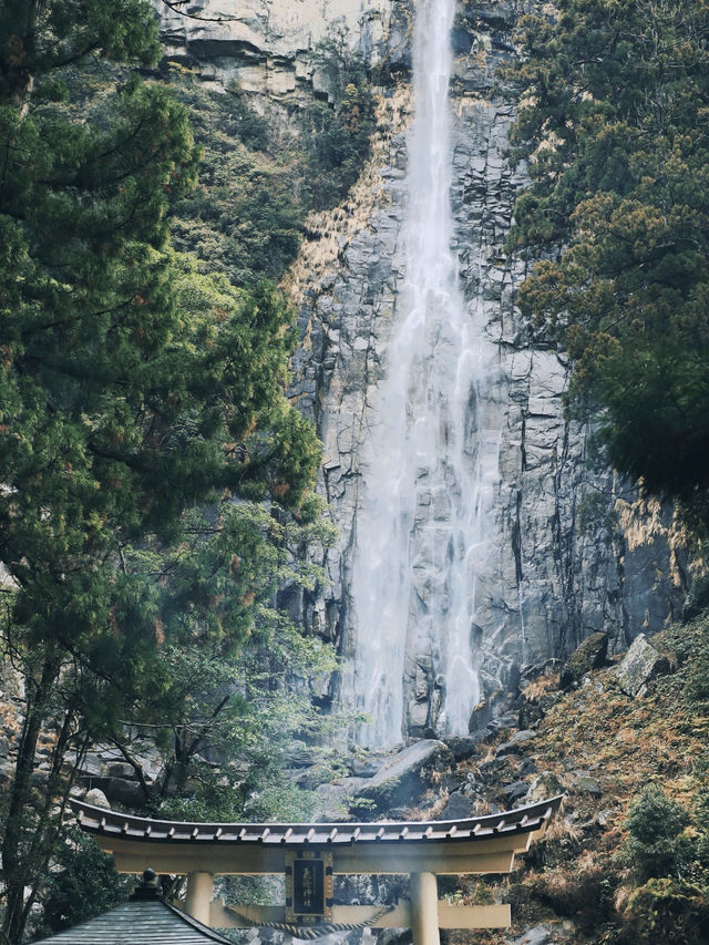 和歌山