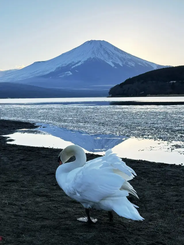 Winter Fun in Japan: Your 6-Day Itinerary
