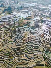 冬日雲南昆明-普者黑風景區7日遊 錯過你會後悔
