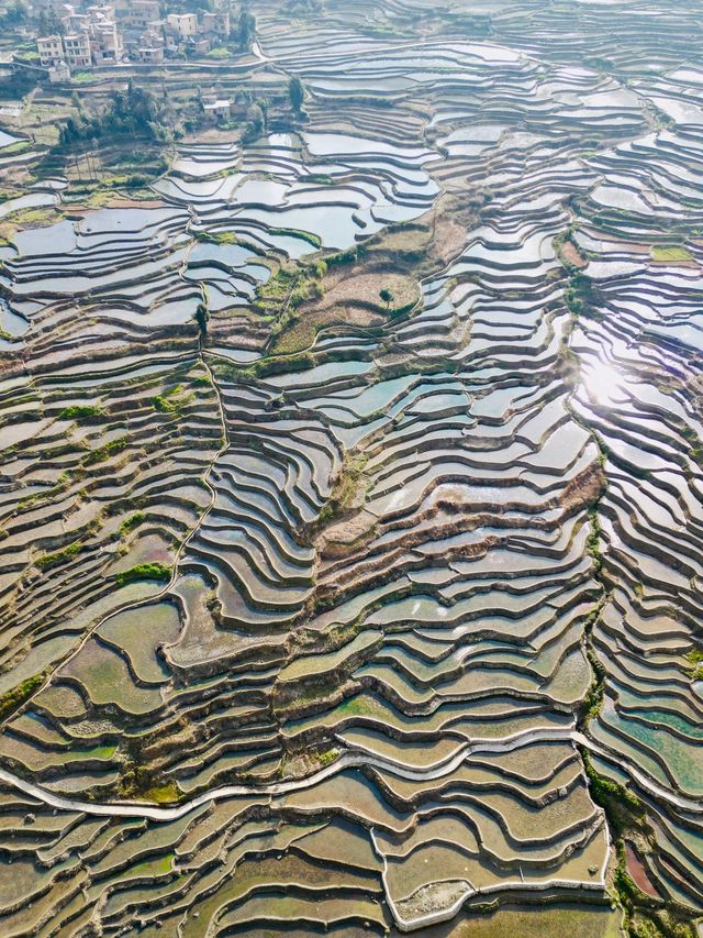 冬日雲南昆明-普者黑風景區7日遊 錯過你會後悔