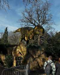 伍斯特周邊必衝！西密德蘭茲野生動物園保姆級攻略真實體驗
