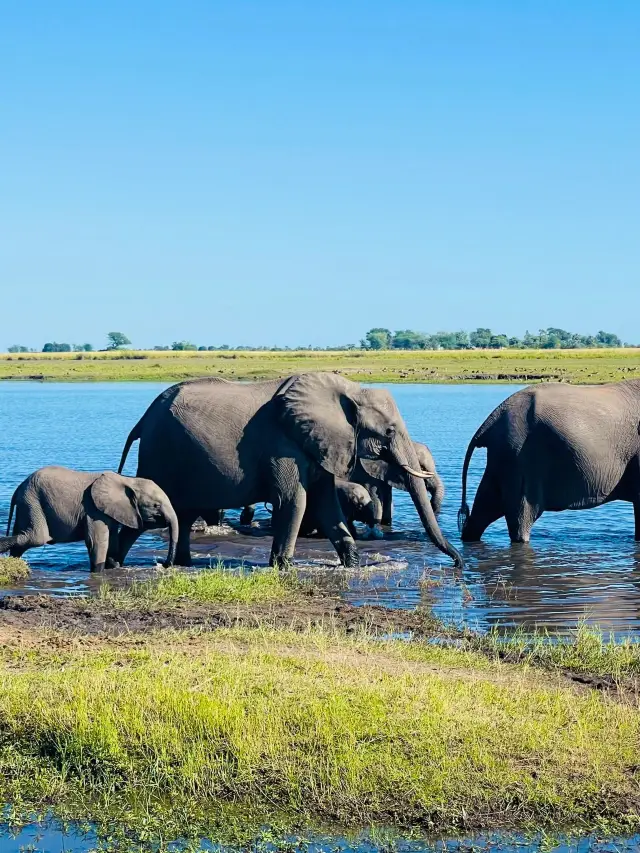 A 12-Day Trip to Zimbabwe and Other Countries: The Perfect Getaway