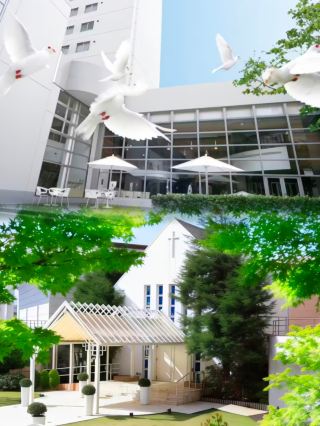 Hidden Gem Hotels in Aichi District | Hotel Loisir Toyohashi
