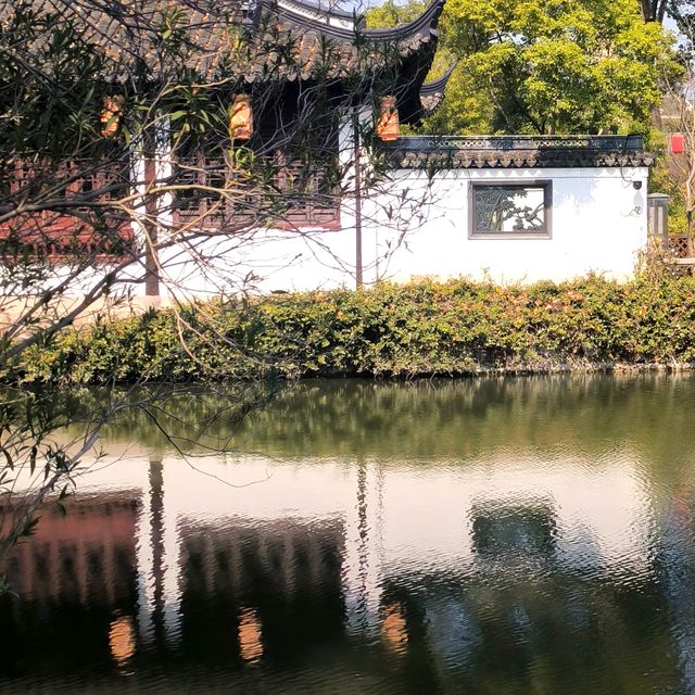 江南古典園林典範｜古猗園半日遊