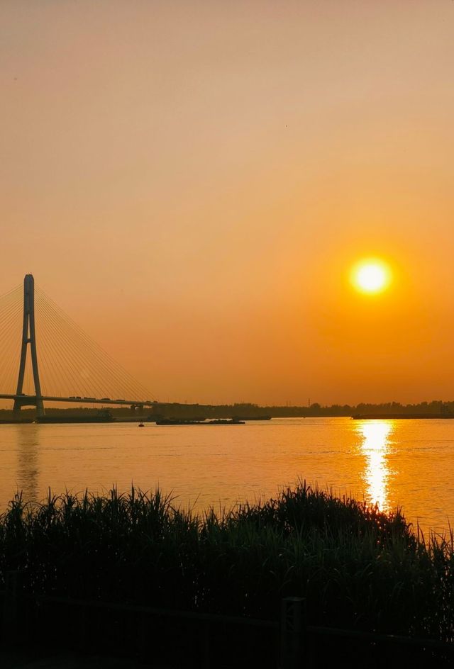 南京小眾打卡景點「魚嘴濕地公園」