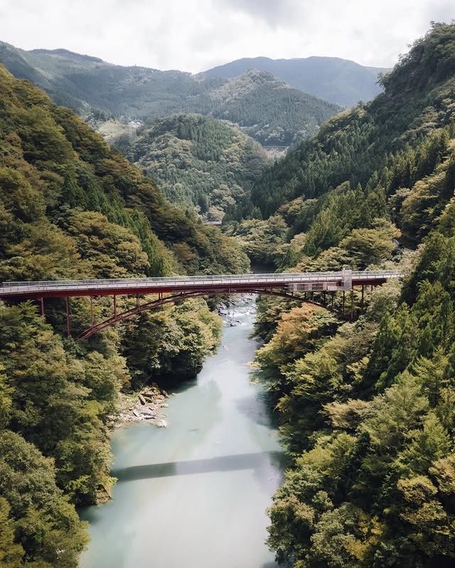 秘境探索：日本四國·祖谷溪 