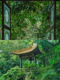 陰雨天的廣州蘭圃真的是人間理想！