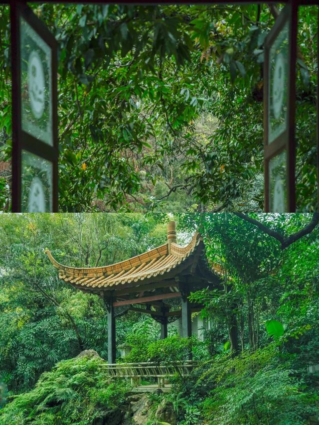 陰雨天的廣州蘭圃真的是人間理想！