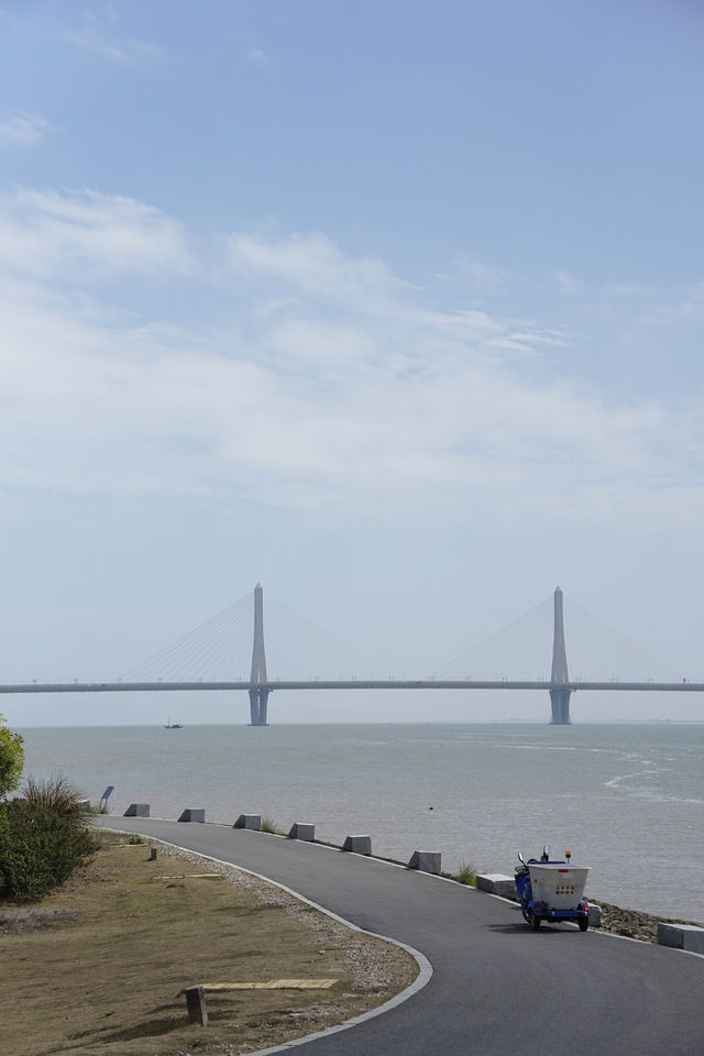 漫步二井灣濕地公園，觀鳥觀草觀海