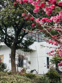 南京蘇家理想村｜適合週末在大自然溜娃的地方，附攻略‌