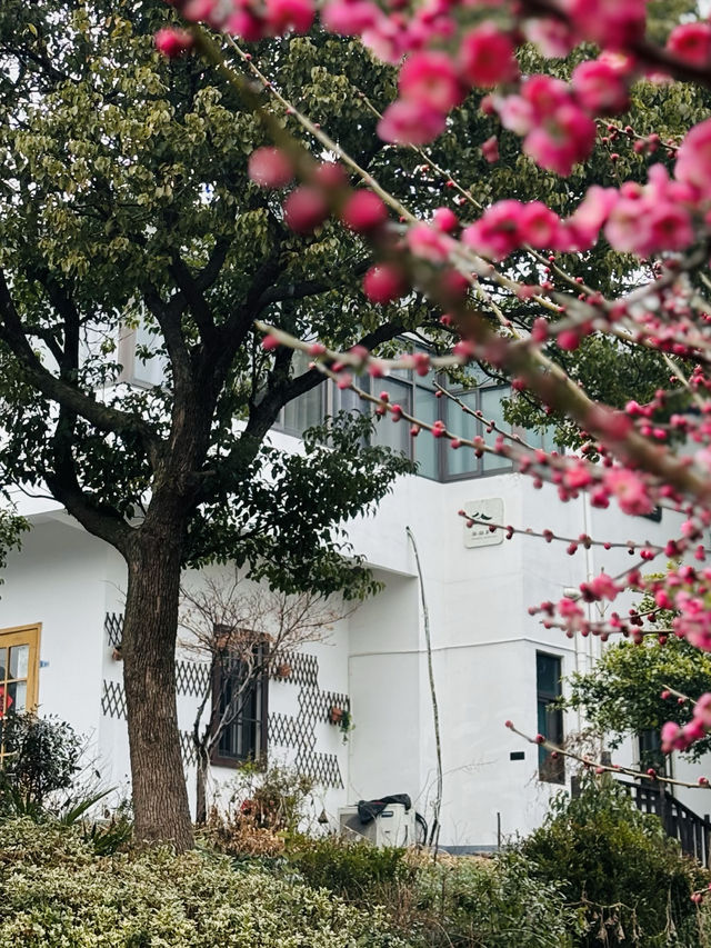 南京蘇家理想村｜適合週末在大自然溜娃的地方，附攻略‌