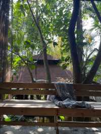 清明假期｜騰沖6日遊 不負春光好時節