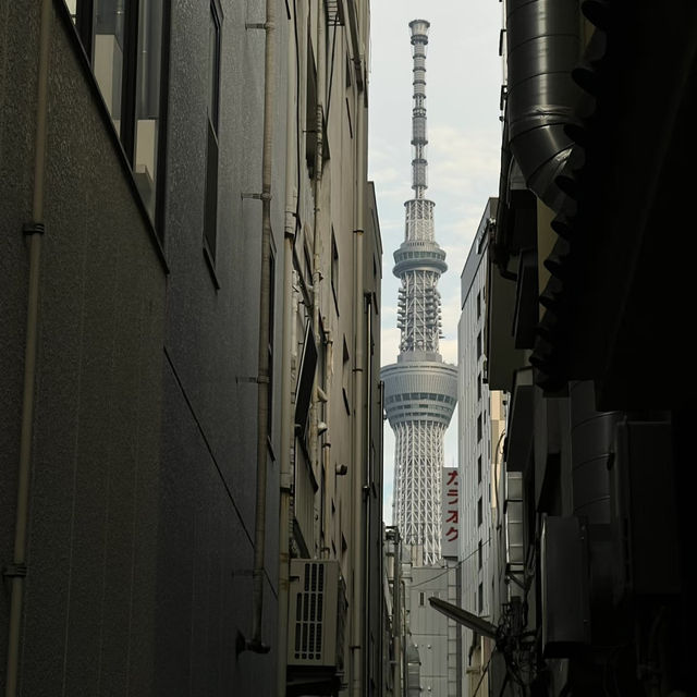 東京鐵塔全攻略！吃喝玩樂一站式體驗