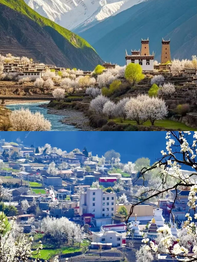 金川已回，說說我的真實感受。