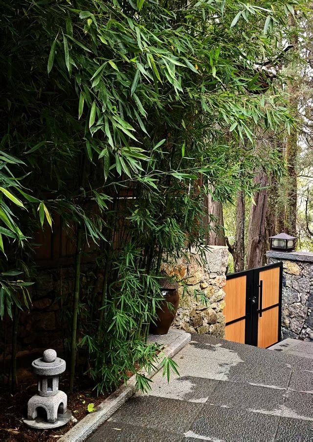 尋夢雅園（春日誌）