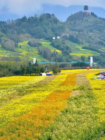 2-Day Qingming Festival Trip to Ya’an: A Comprehensive Guide