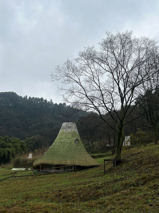 成都周邊｜春日去山裏小住吧！