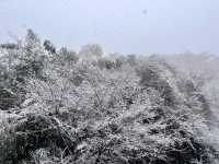 在金華邂逅了超美的雪景