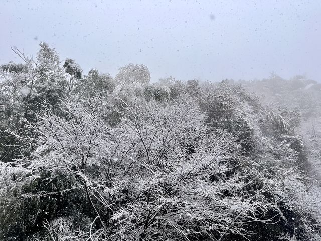 在金華邂逅了超美的雪景