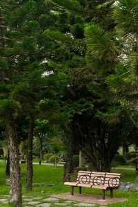 東莞植物園 帶你認識從未見過的各種各樣植物新生命