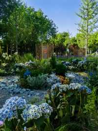 邂逅上海莫奈花園，沉浸式油畫之旅！