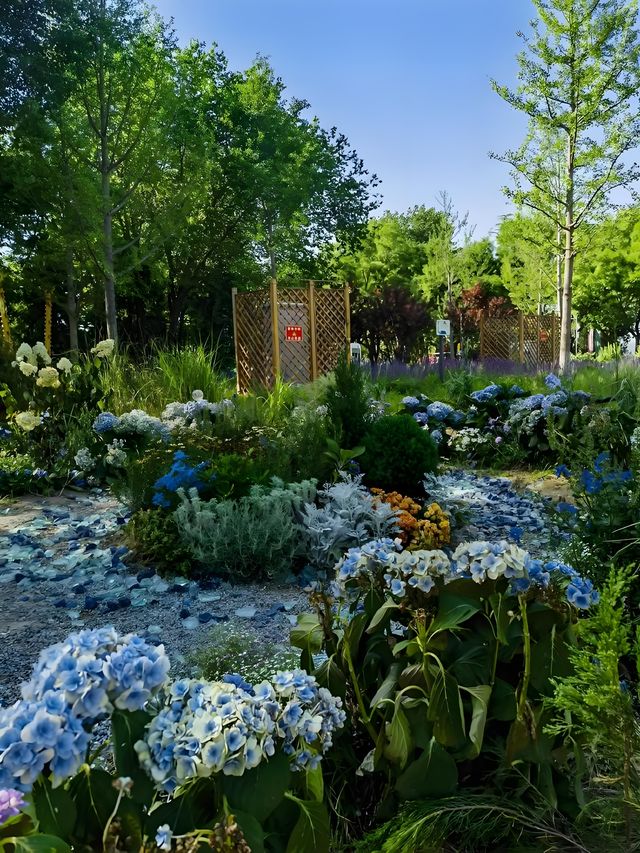 邂逅上海莫奈花園，沉浸式油畫之旅！