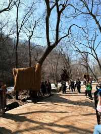 遼寧周邊踏春｜關山湖3.30開園！春日徒步開始|||春天終於