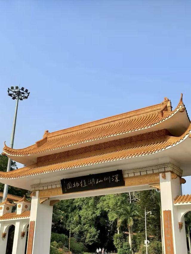 綠影婆娑：仙湖植物園的靜謐之旅