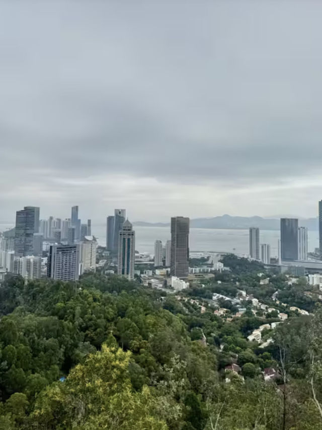 城市與山的對話
