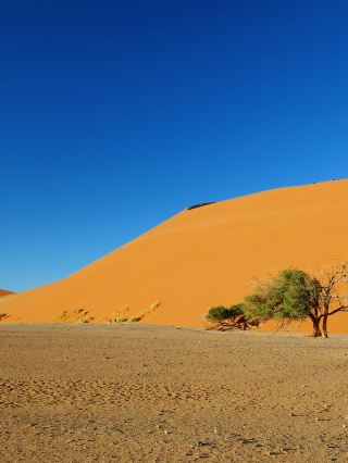 A Must-See Multi-Country Travel Guide to Namibia and More for Old Friends