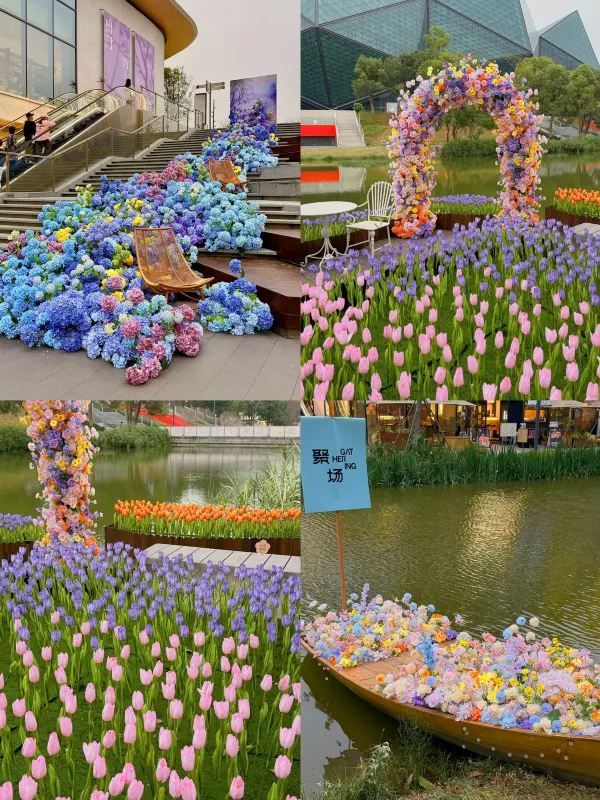 深圳！龍崗春日限定花海～