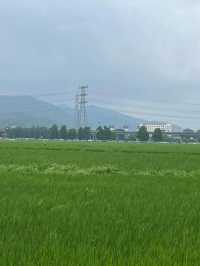 中山崖口居然藏了間田園咖啡店！一秒闖入宮崎駿動畫裡🌾
