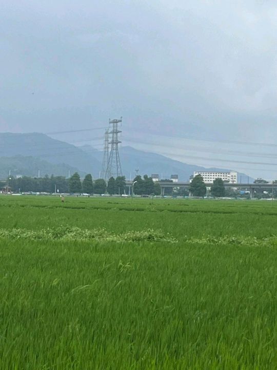 中山崖口居然藏了間田園咖啡店！一秒闖入宮崎駿動畫裡🌾