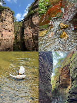 Must-see May Day holiday guide! One-day tour of Longtan Grand Canyon