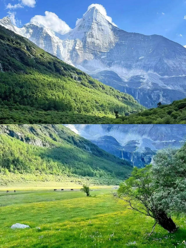 不是瑞士，是川西的夏天！