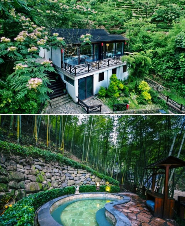在安吉！！入住坐擁整片茶山的雲端帳篷酒店