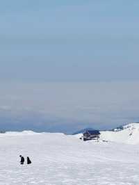 立山黑部全攻略丨五月雪牆高聳，旅遊計劃必看！