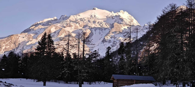 哈巴雪山杜鵑花季及露營體驗