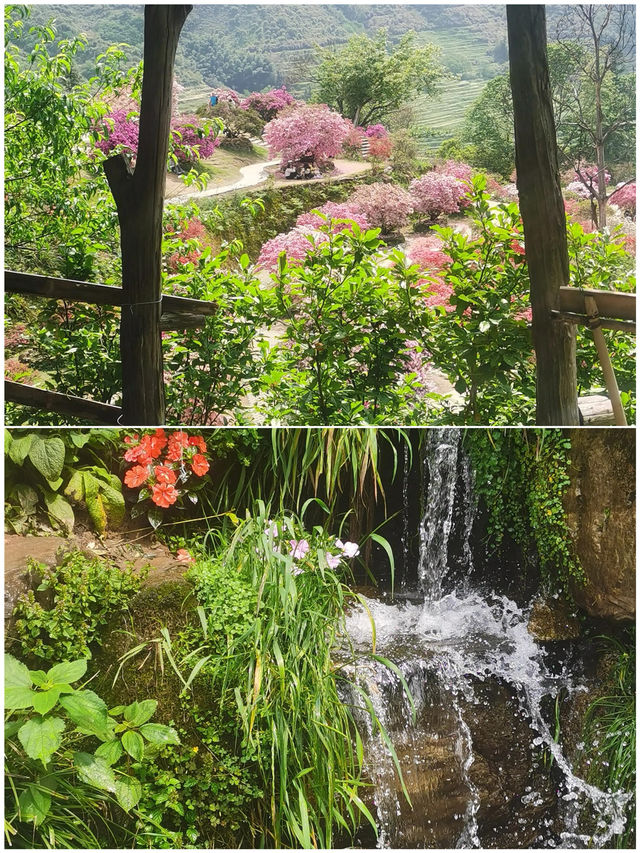 婺源帶娃回來了，我的消費觀崩塌了