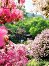 五一反向旅行｜闖入莫奈花園級花仙谷附保姆級攻略