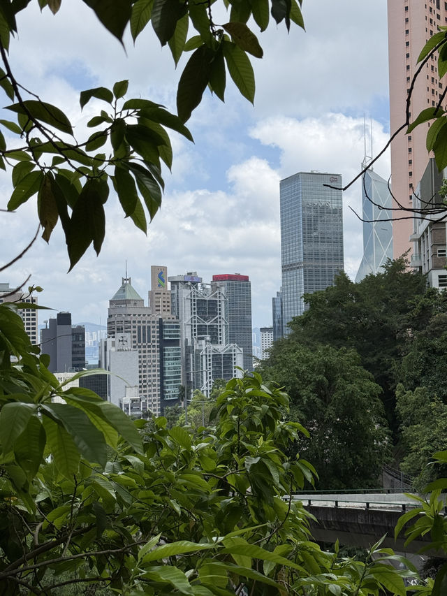 Central To Admiralty - Experience The Concrete Jungle Of Hong Kong 