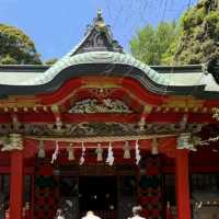  📔東京實習日記｜江之島治愈之旅：在山海間捕捉夏日浪漫 