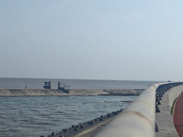 上海崇明島‖躺平遊