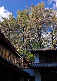 住進詩畫裡，枕夢入星河