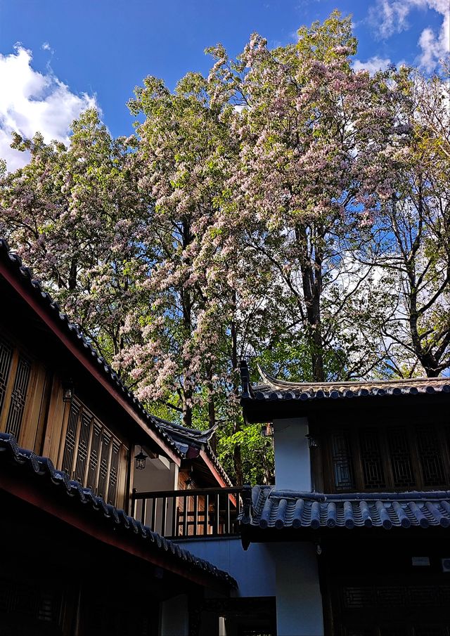 住進詩畫裡，枕夢入星河