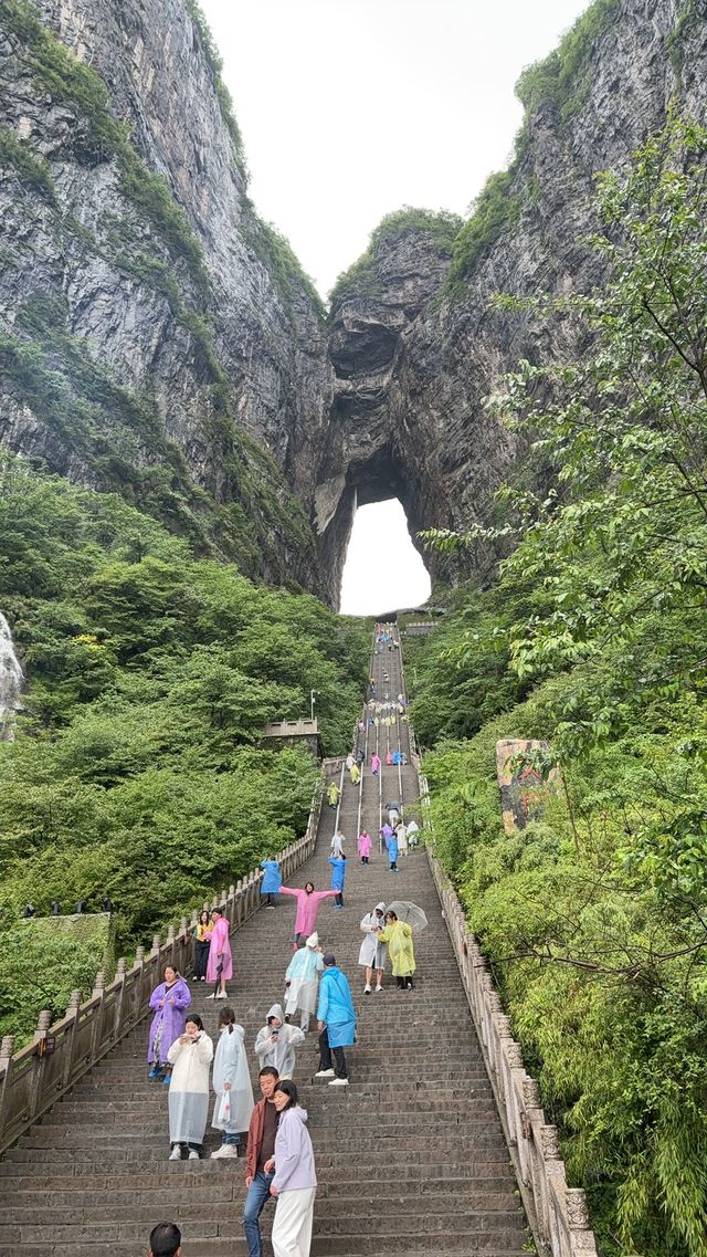 天門山遊玩心得：提前準備和拍照技巧全攻略 去天門山玩咗一圈，真心有啲嘢想同大家分享。特別係嗰啲單曲循