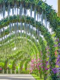 🌳Yunluo Botanical Garden is Astonishing 🥰